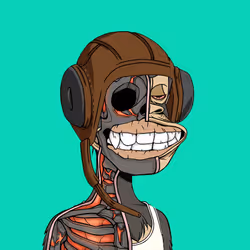 Anatomy Science Ape Club #172