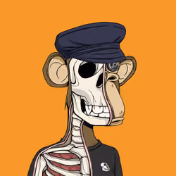 Anatomy Science Ape Club #7871