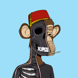 Anatomy Science Ape Club #3115