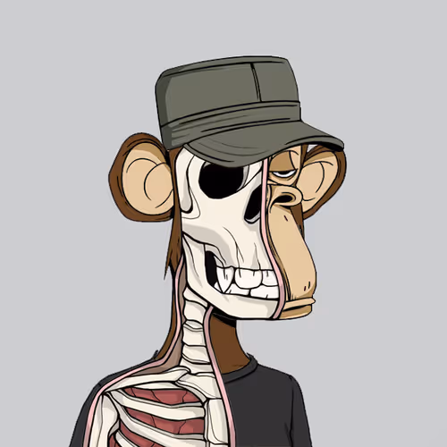 Anatomyscienceapeclub