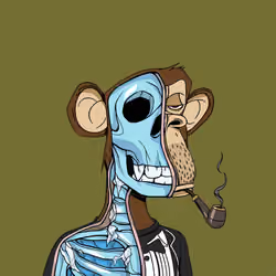Anatomy Science Ape Club #692
