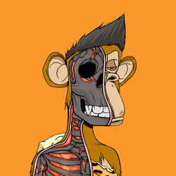 Anatomy Science Ape Club #4333