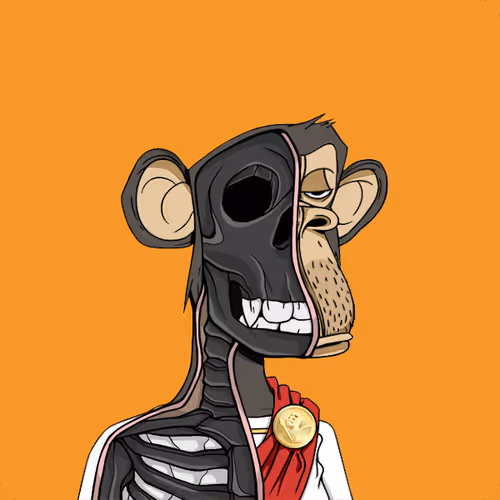 Anatomyscienceapeclub