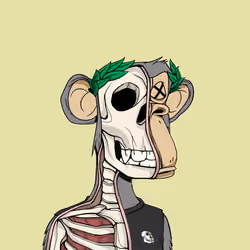 Anatomy Science Ape Club #2972