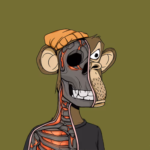 Anatomy Science Ape Club #371