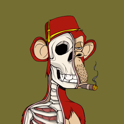 Anatomyscienceapeclub
