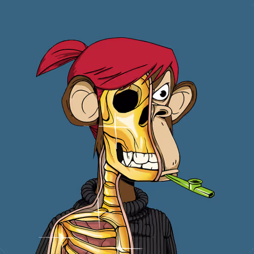 Anatomyscienceapeclub