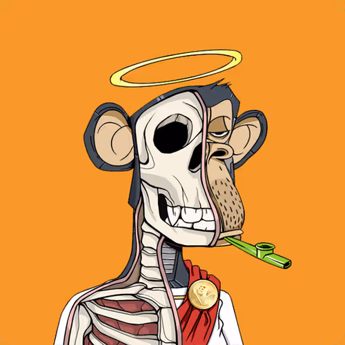 Anatomyscienceapeclub