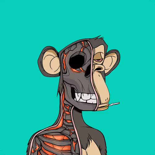 Anatomy Science Ape Club #1997