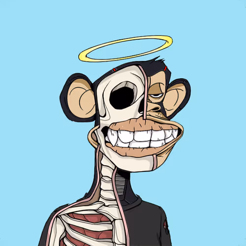 Anatomyscienceapeclub