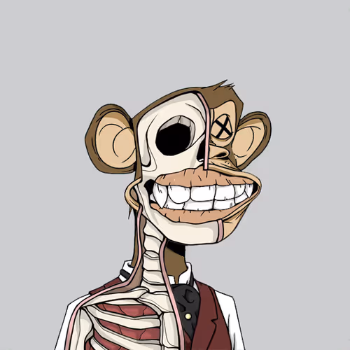 Anatomyscienceapeclub