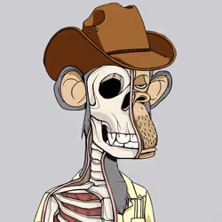 Anatomy Science Ape Club #5948