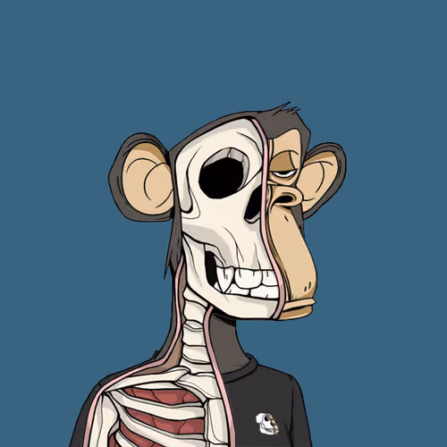 Anatomy Science Ape Club #7999