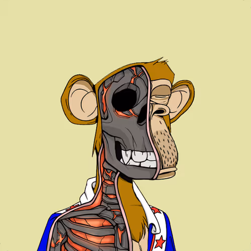 Anatomyscienceapeclub