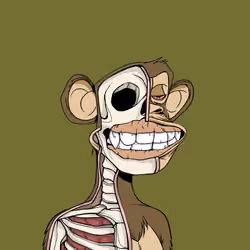 Anatomy Science Ape Club #4290