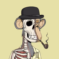 Anatomy Science Ape Club #7617