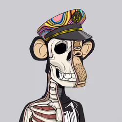 Anatomy Science Ape Club #2708