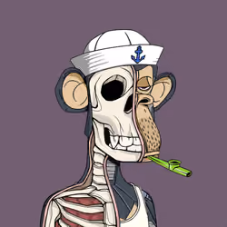 Anatomy Science Ape Club #5896