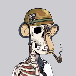 Anatomy Science Ape Club #3553