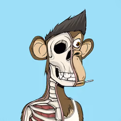 Anatomy Science Ape Club #3858