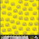 75