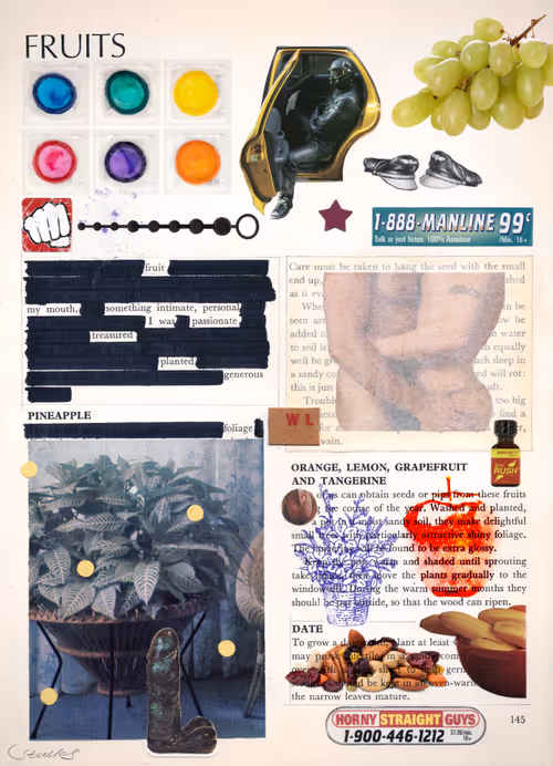 Item #14 Media
