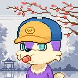 Pupz #2222
