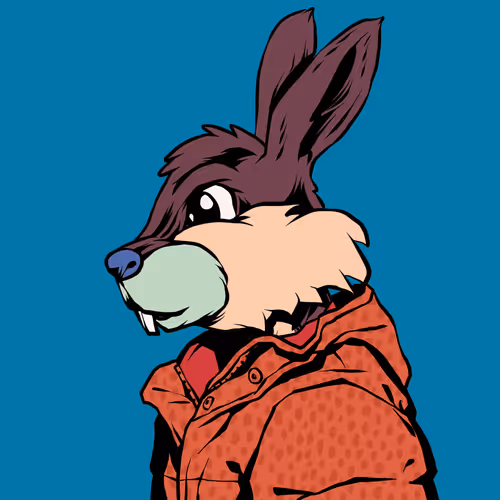 Shinobibunnysaga