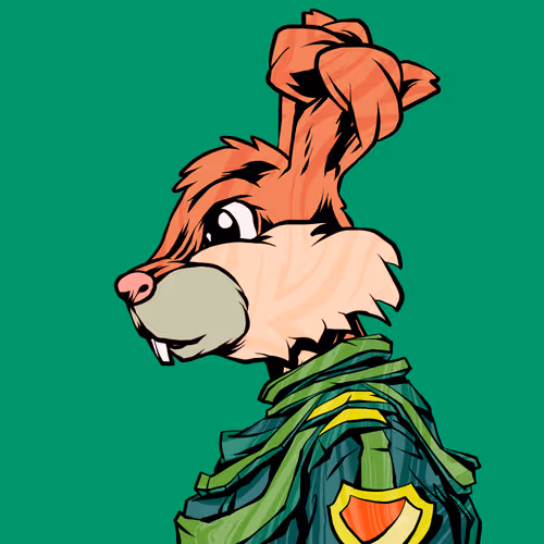 Shinobibunnysaga