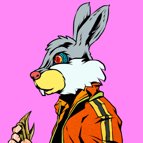 Shinobibunnysaga