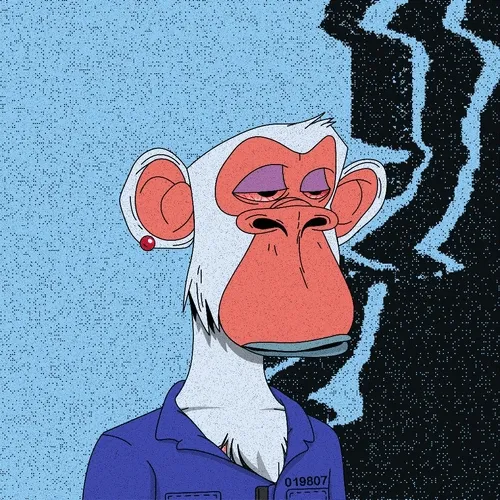 Xcopy Apes Club