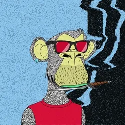 XCOPY APE #1084