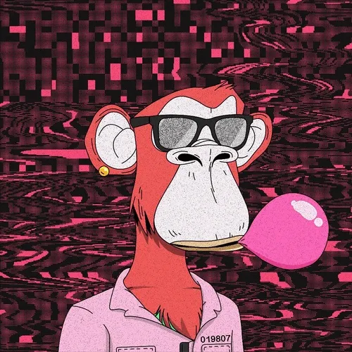 Xcopy Apes Club