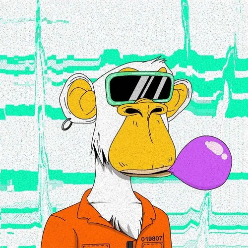 Xcopy Apes Club