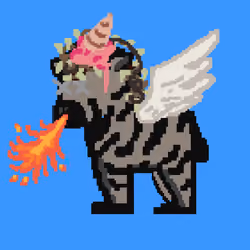 Zebra #2688