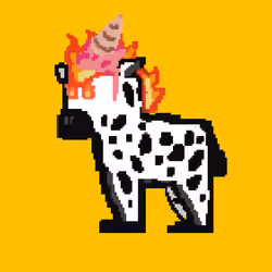 Zebra #1346