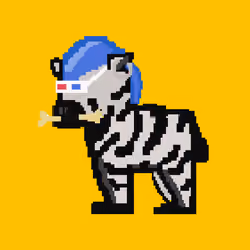 Zebra #4780