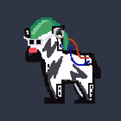 Zebra #1233
