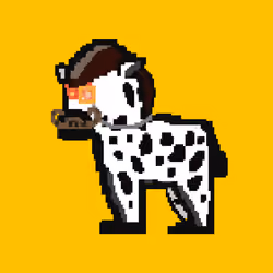 Zebra #2690