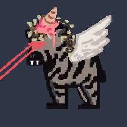 Zebra #2210