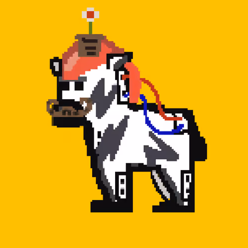 Zebra #4503