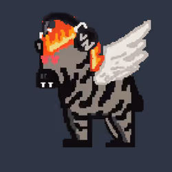Zebra #1473