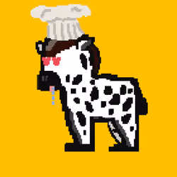 Zebra #5270