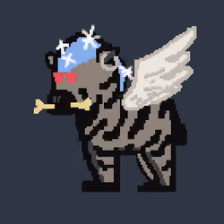 Zebra #4033
