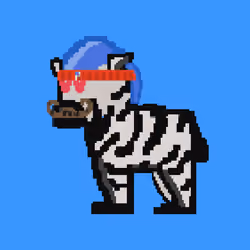 Zebra #4138