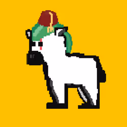 Zebra #2211