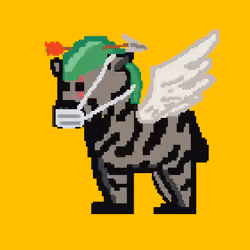 Zebra #5204