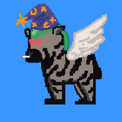 Zebra #4339