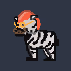 Zebra #4017