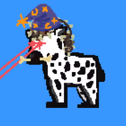 Zebra #4866